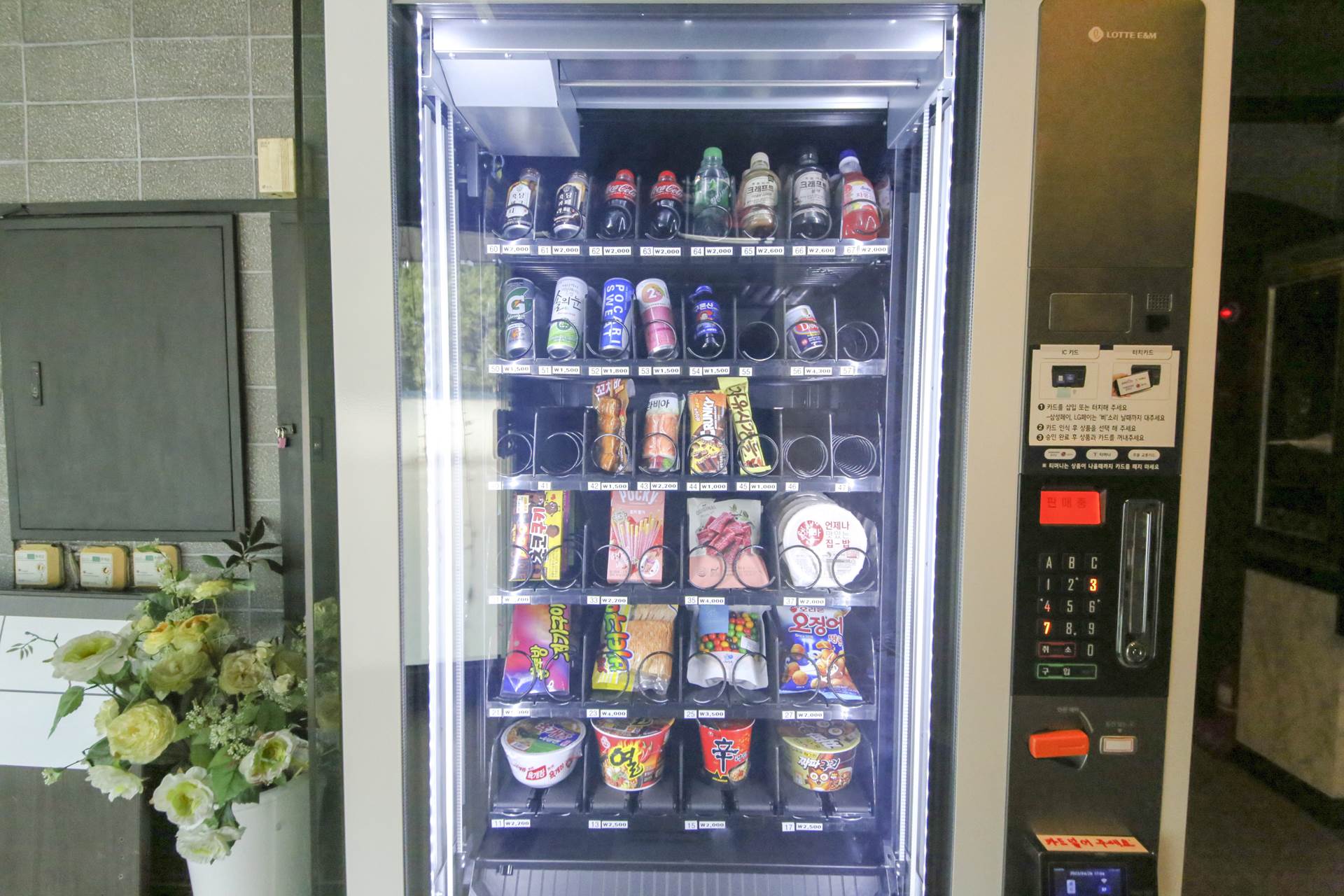 금산 체리의향기 / 