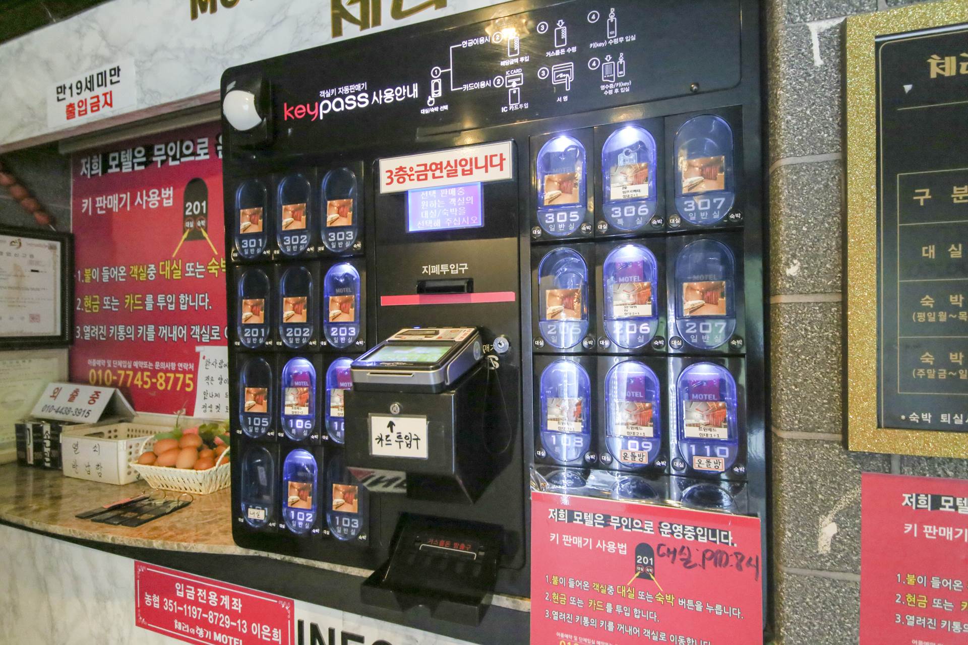 금산 체리의향기 / 