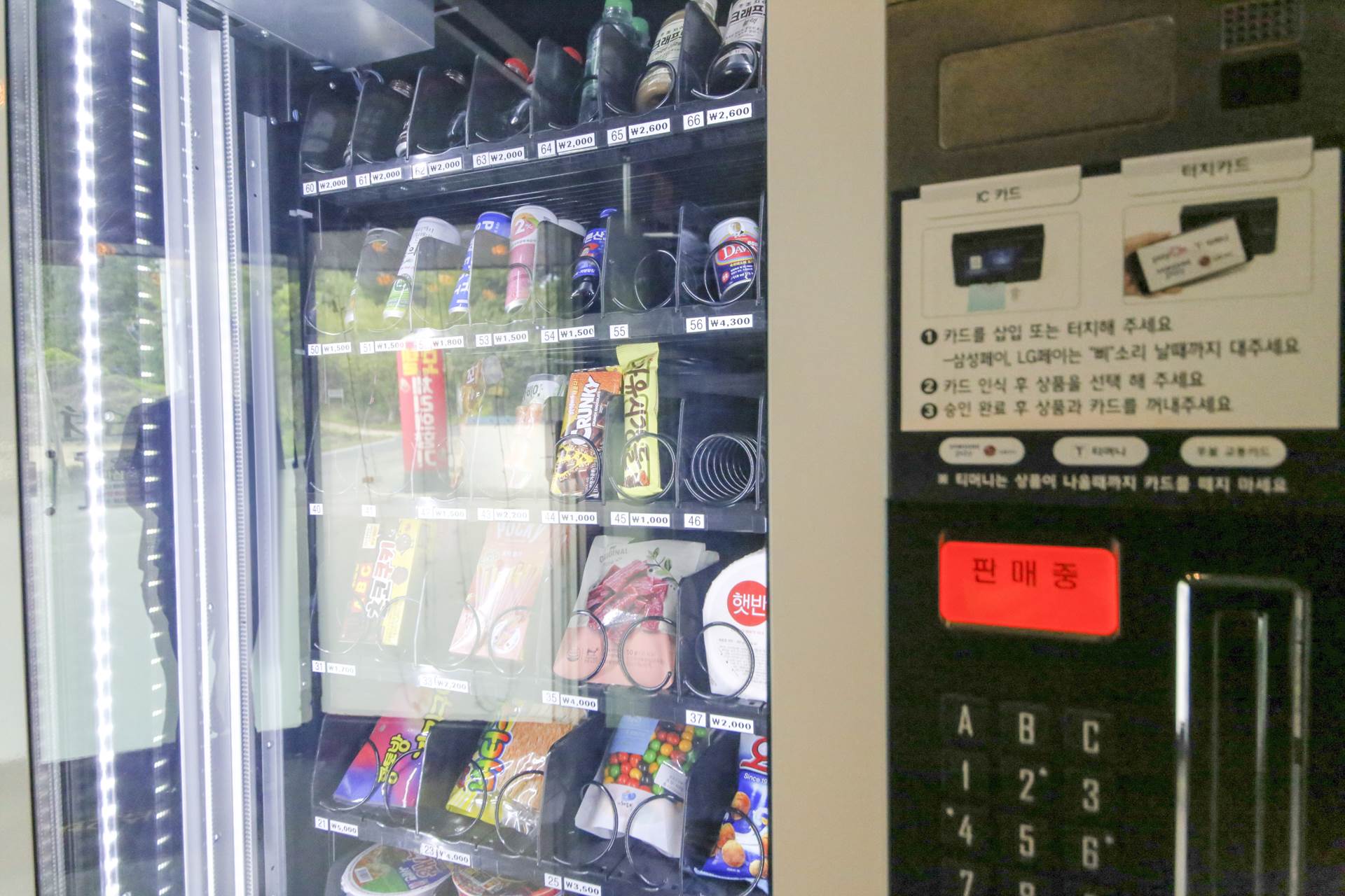 금산 체리의향기 / 