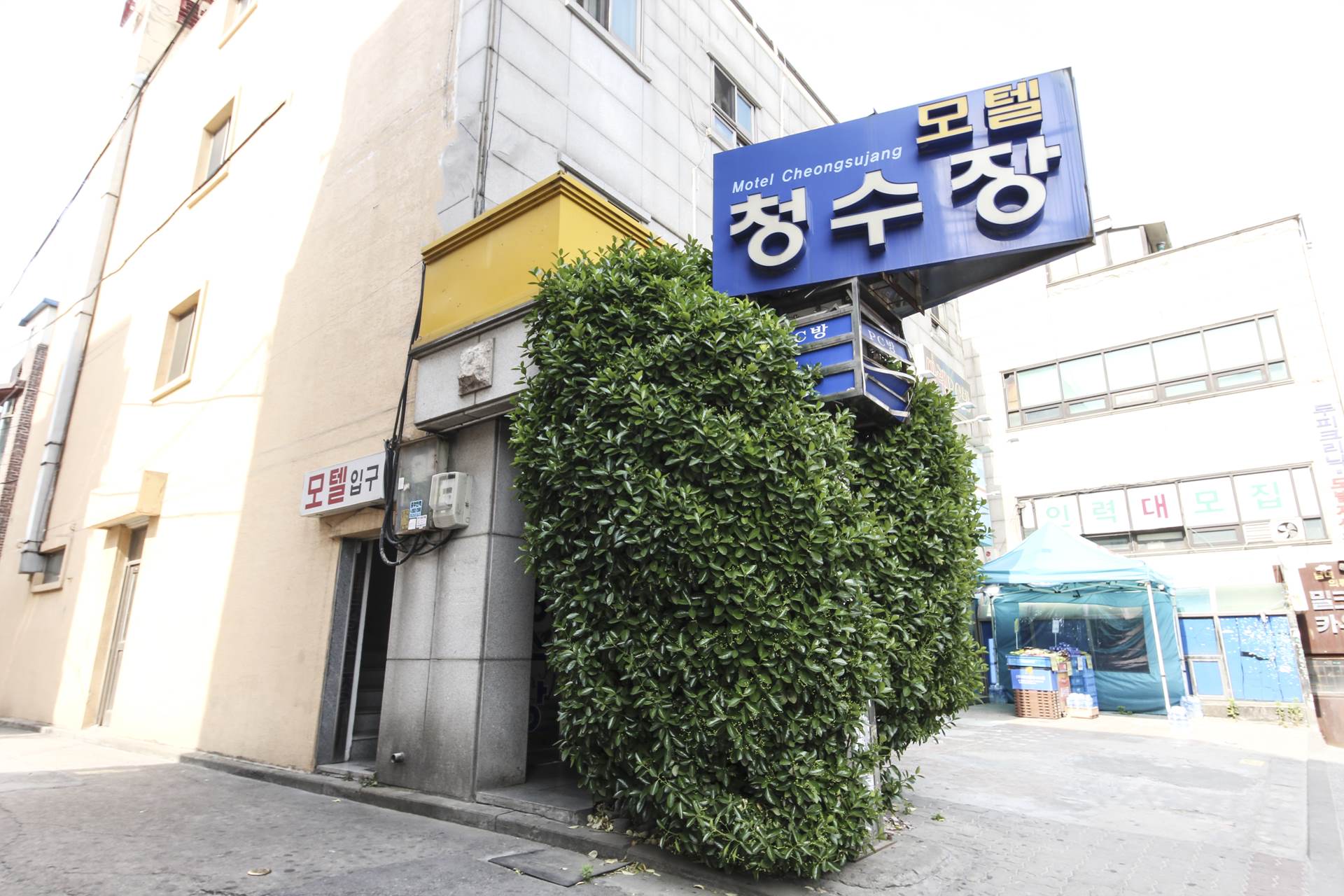 목동 청수 / 