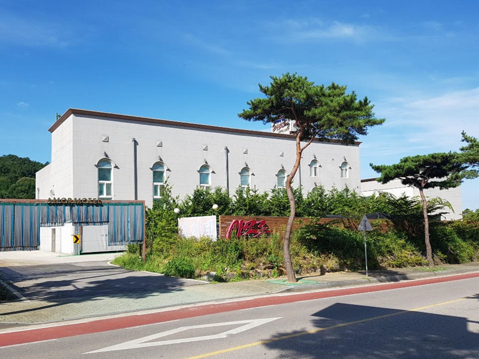 고창 아모르 / 