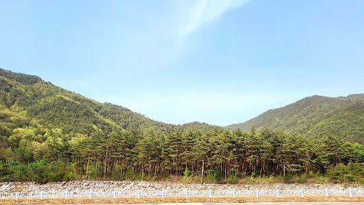 속초 파인뷰 호텔 / 
