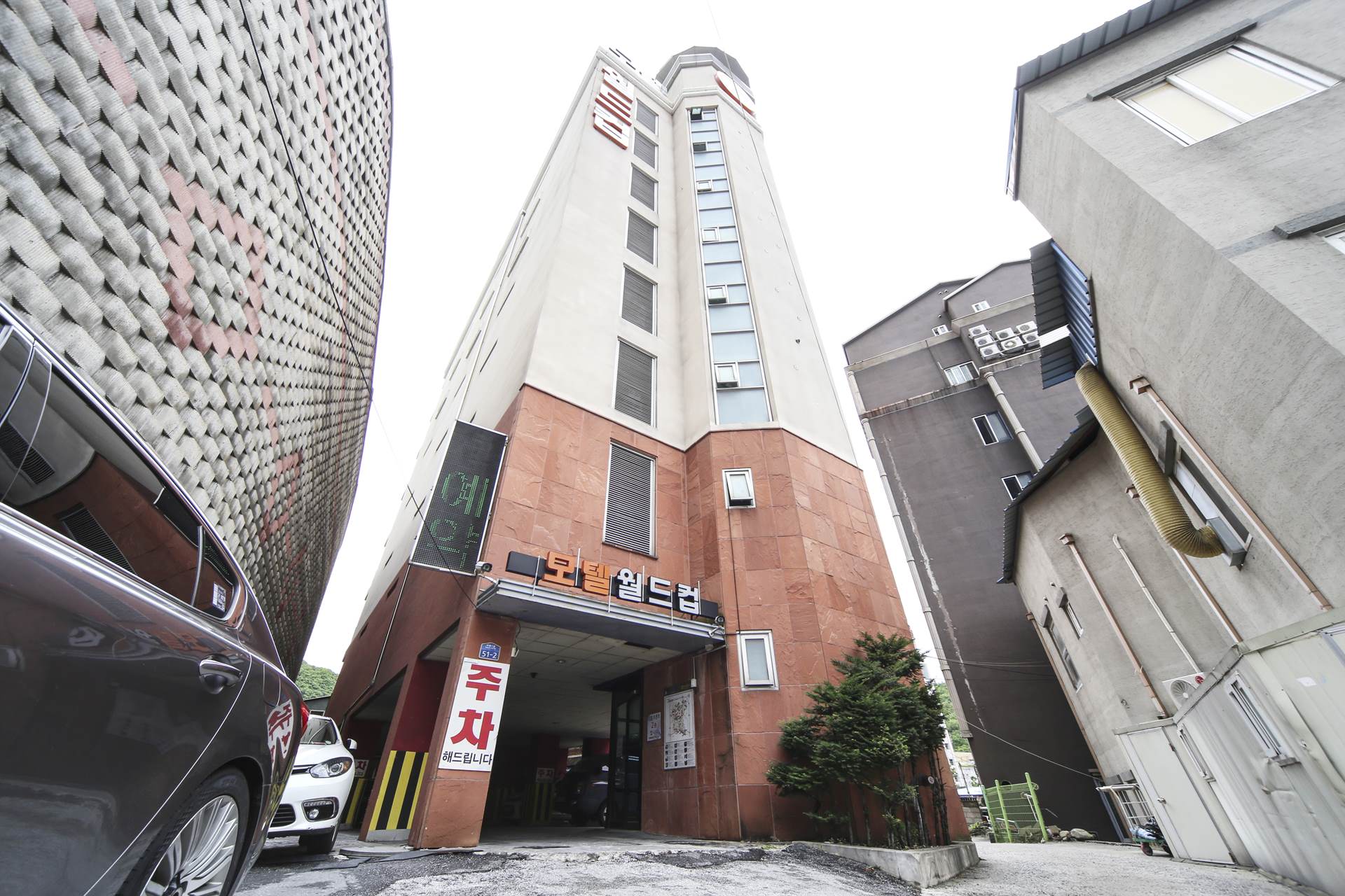 정선 월드컵 / 