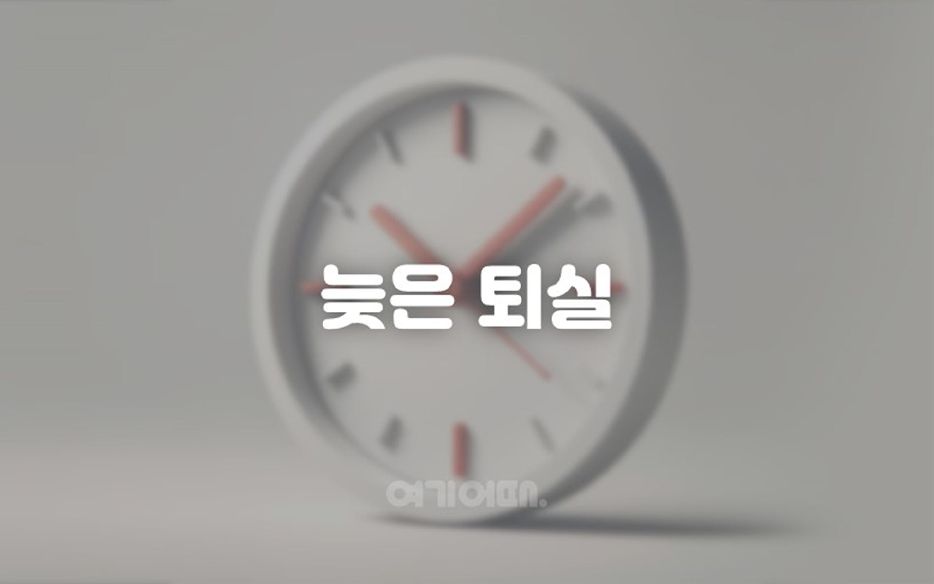 여주 에이스 호텔 / 
