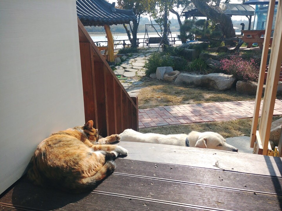 경산 완제지 펜션(펜션으로 이관, 삭 / 