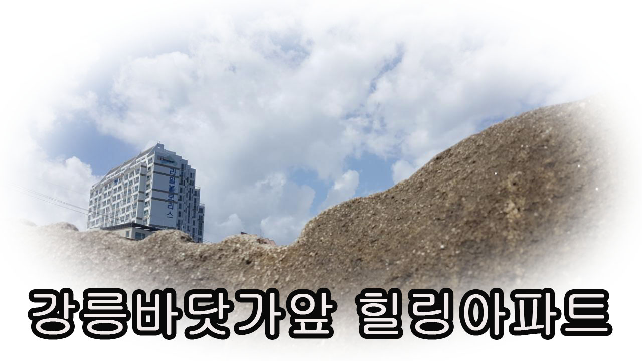 주문진라일플로리스 / 