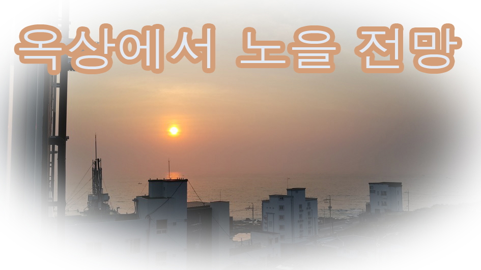 주문진라일플로리스 / 