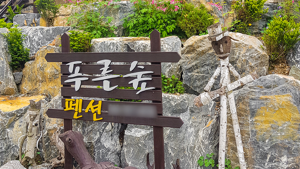 정선 푸른숲 게스트하우스 / 