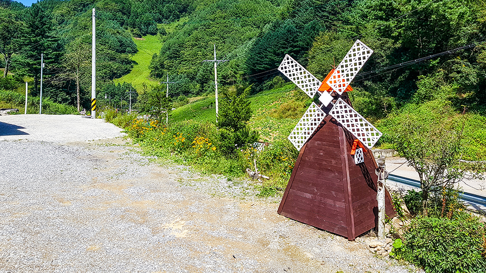 정선 푸른숲 게스트하우스 / 