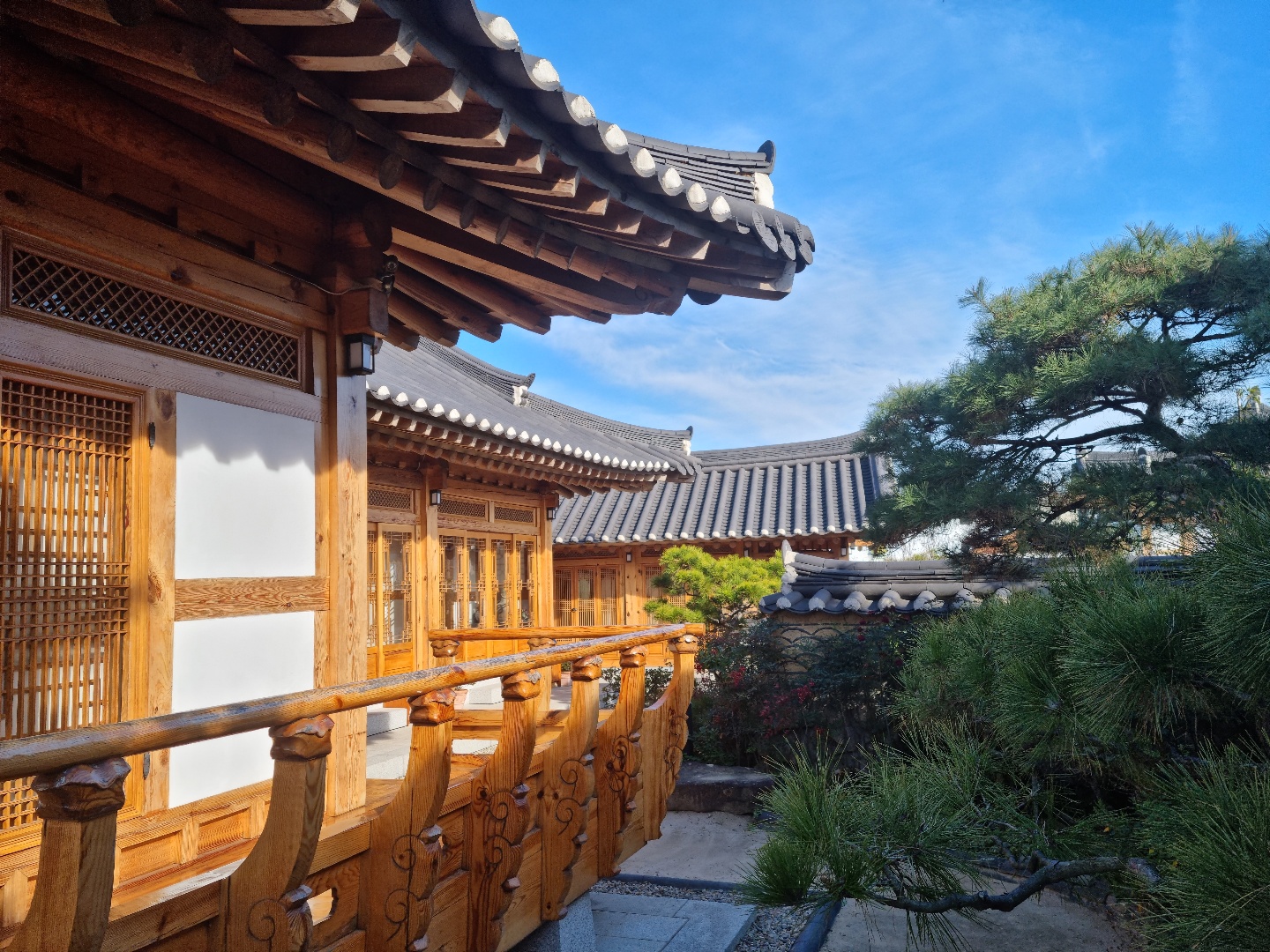 대표사진