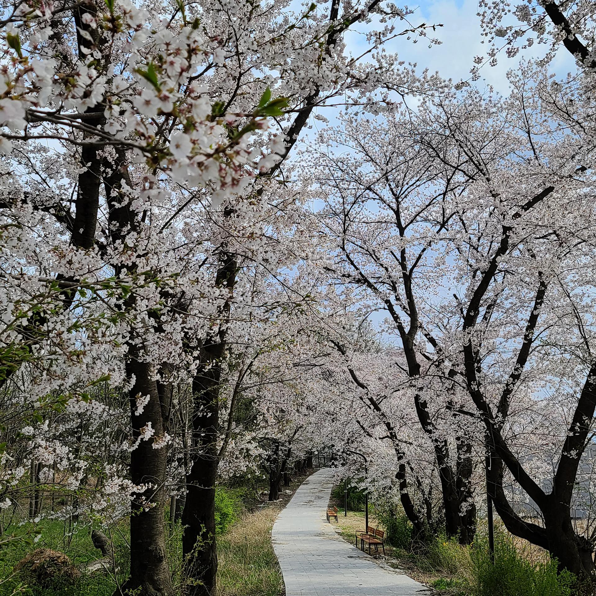 오산 스튜디오9 무인텔 / 