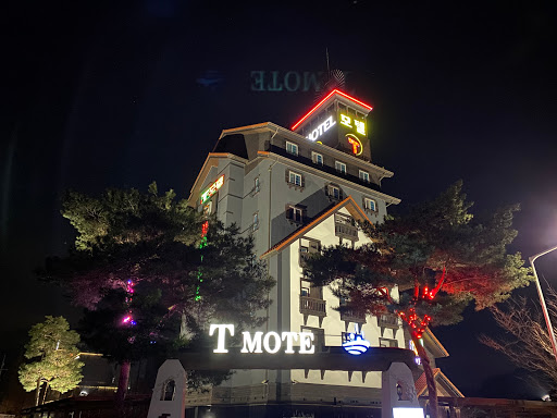 덕산 T 온천 Hotel / 