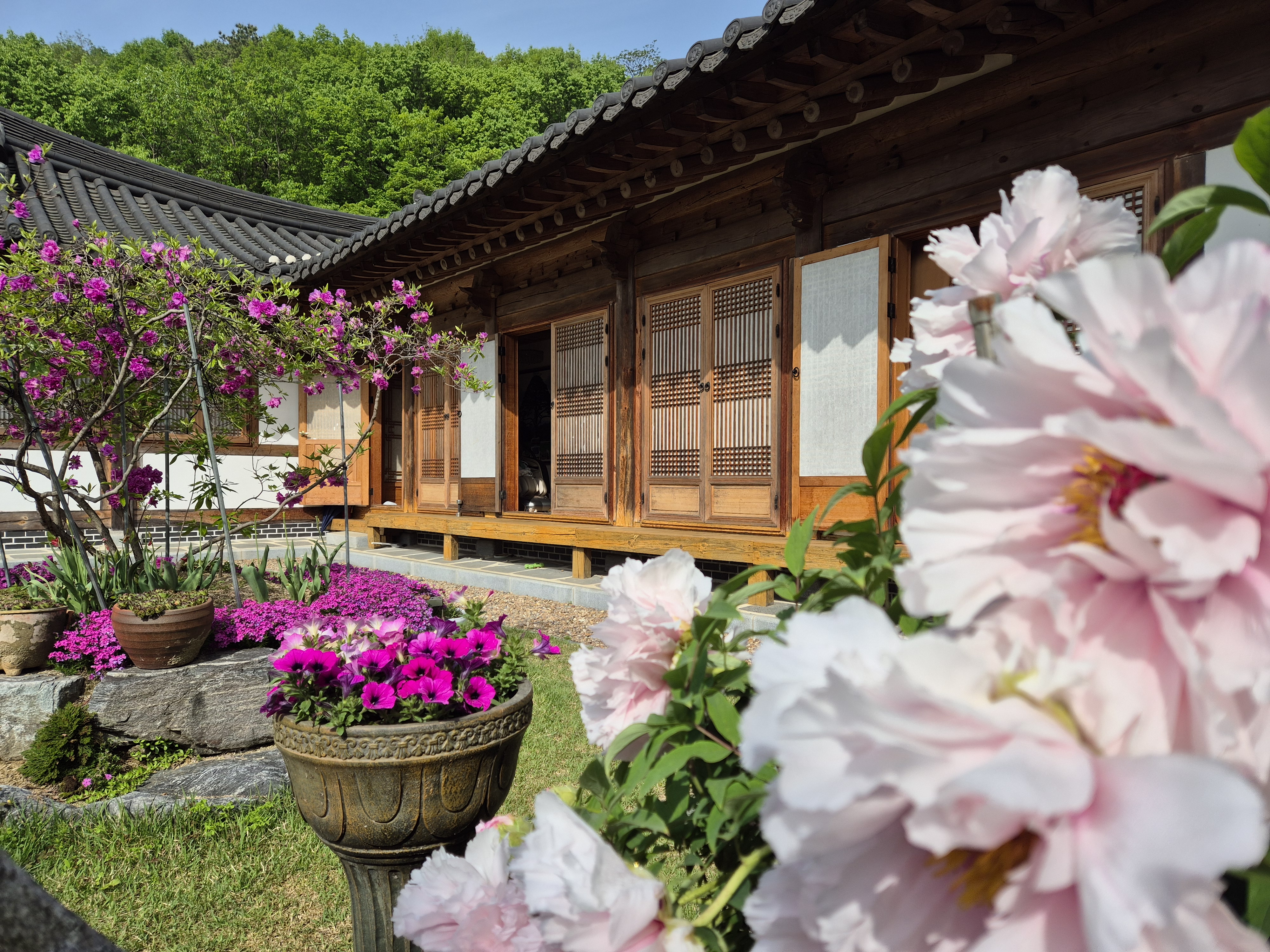 청주 한옥솔솔민박 / 