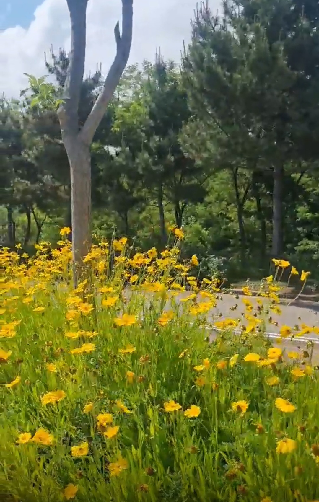 인천 라마다 호텔 영종 / 