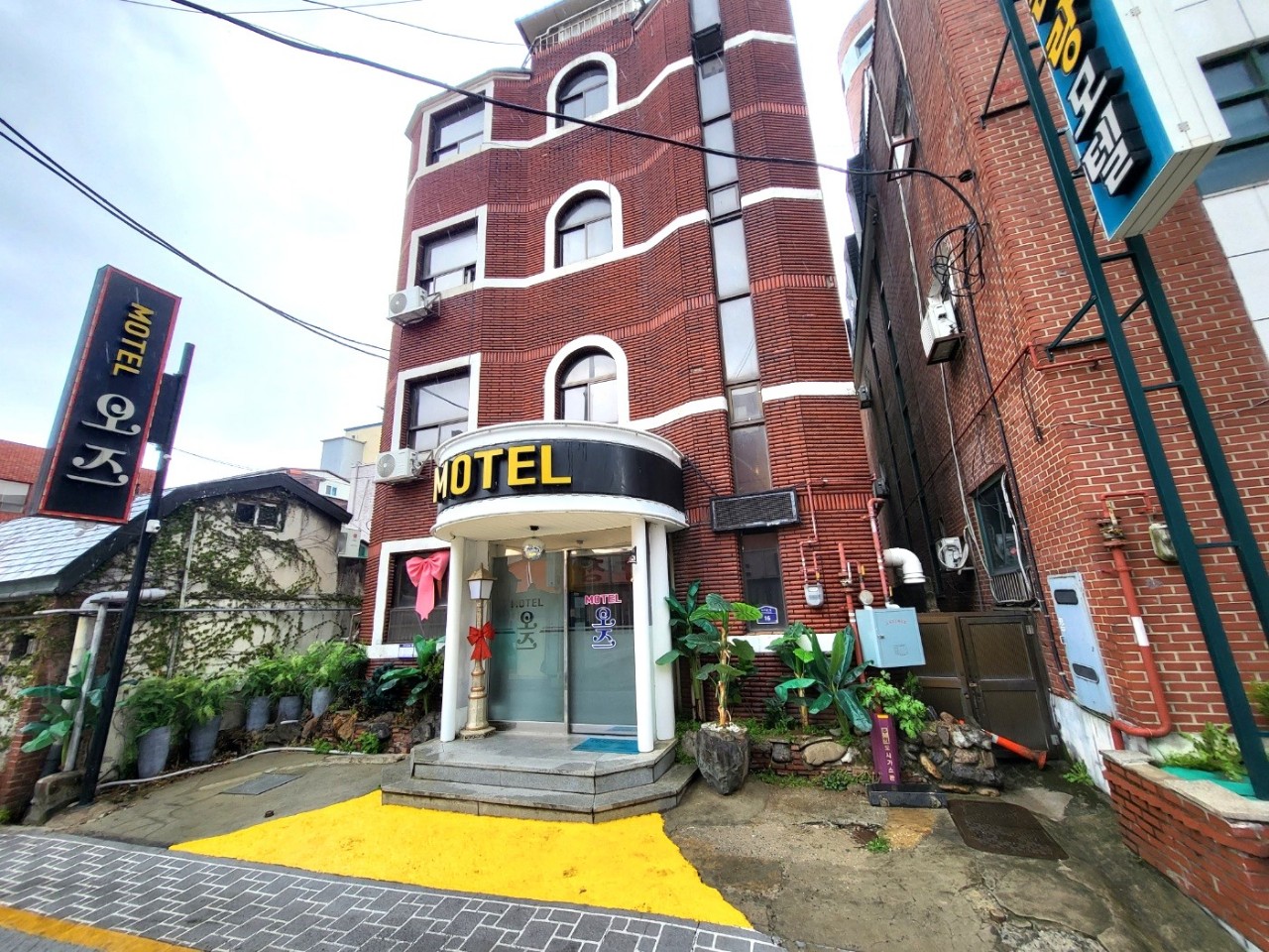 세종 오즈 / 
