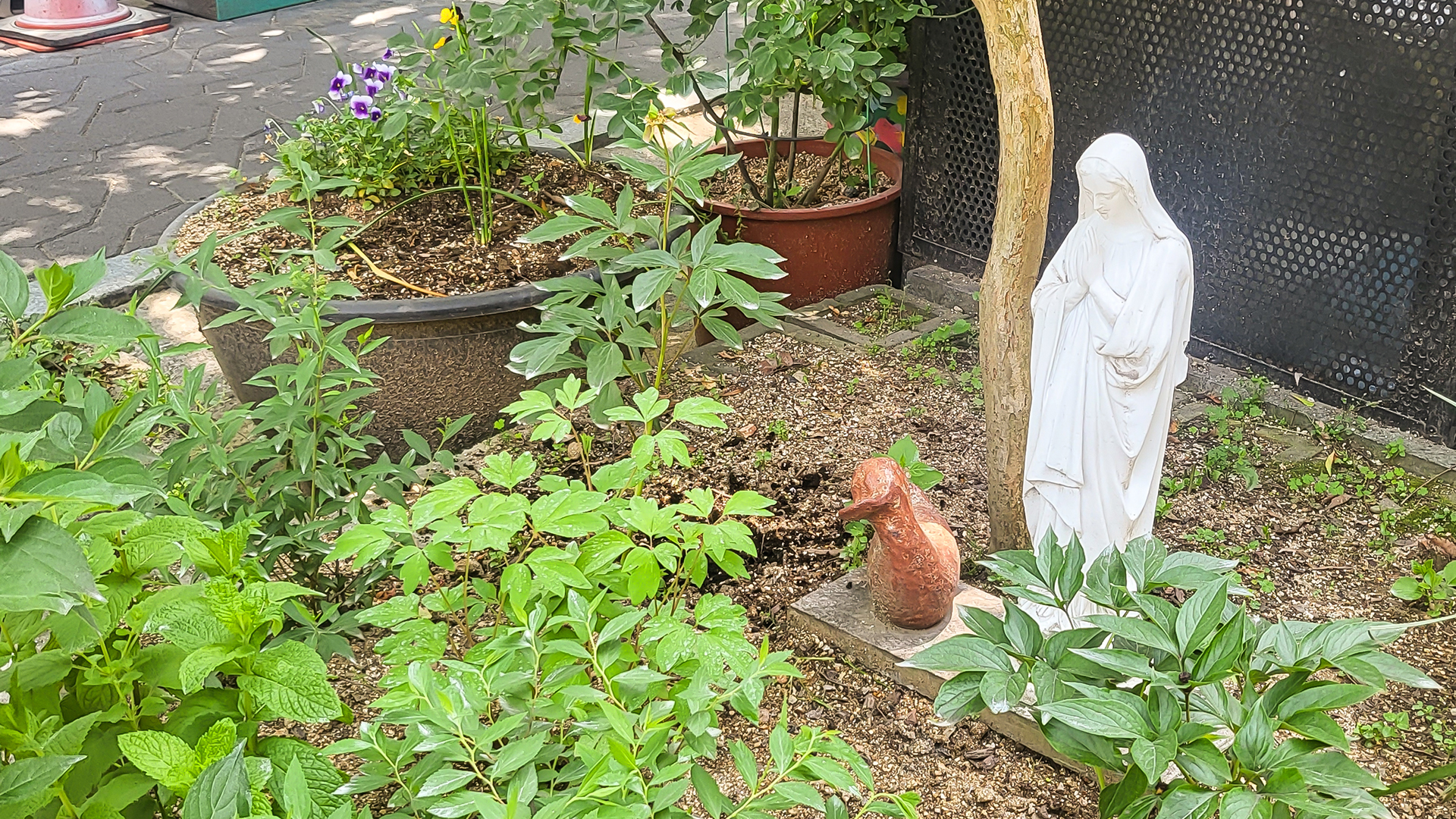 전주 동백하우스 / 