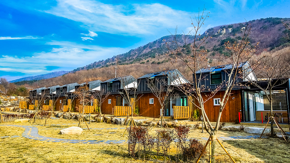 울산 클럽33 / 