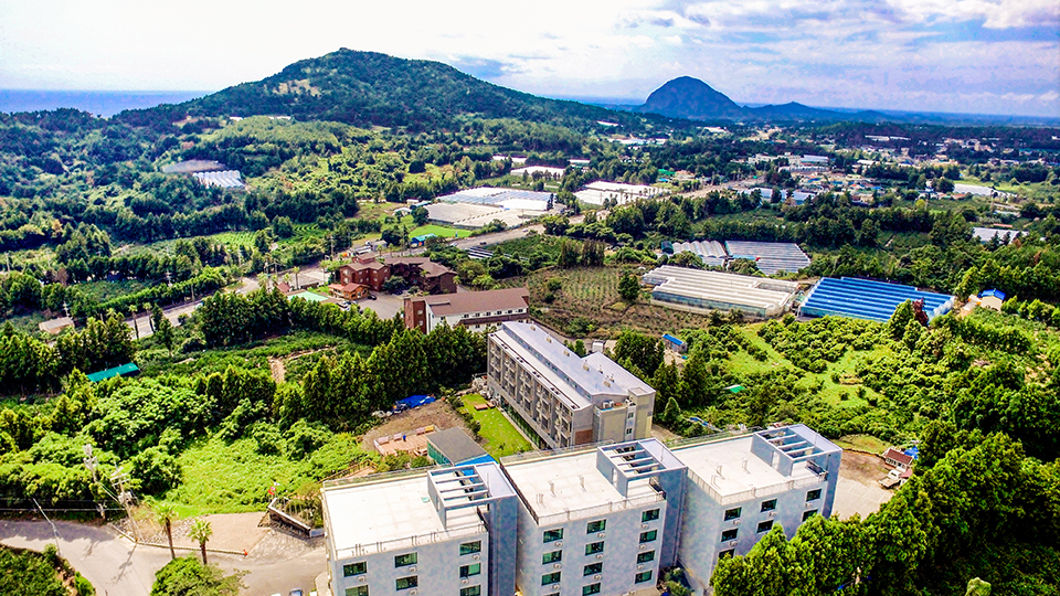 제주 중문훼미리 리조트 / 