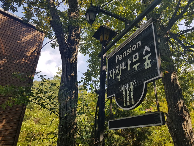 자작나무숲펜션 / 