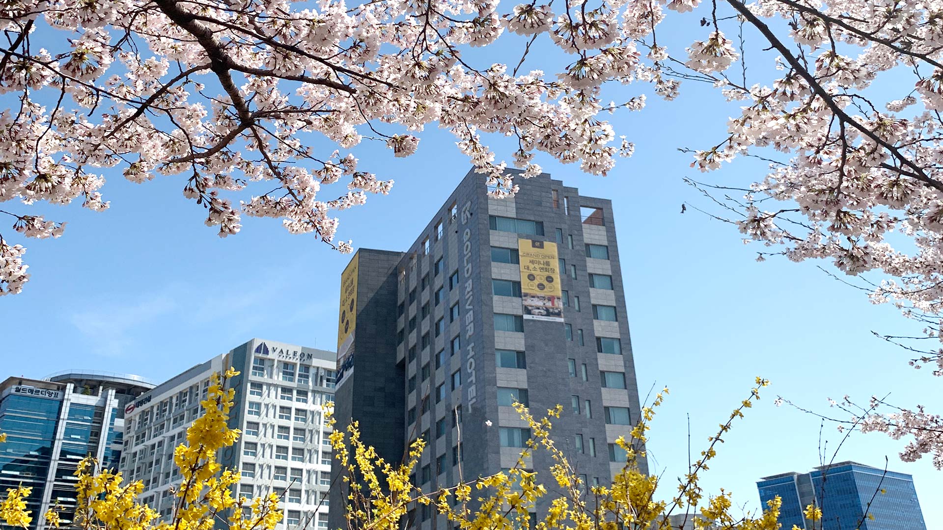 골드리버 호텔 / 