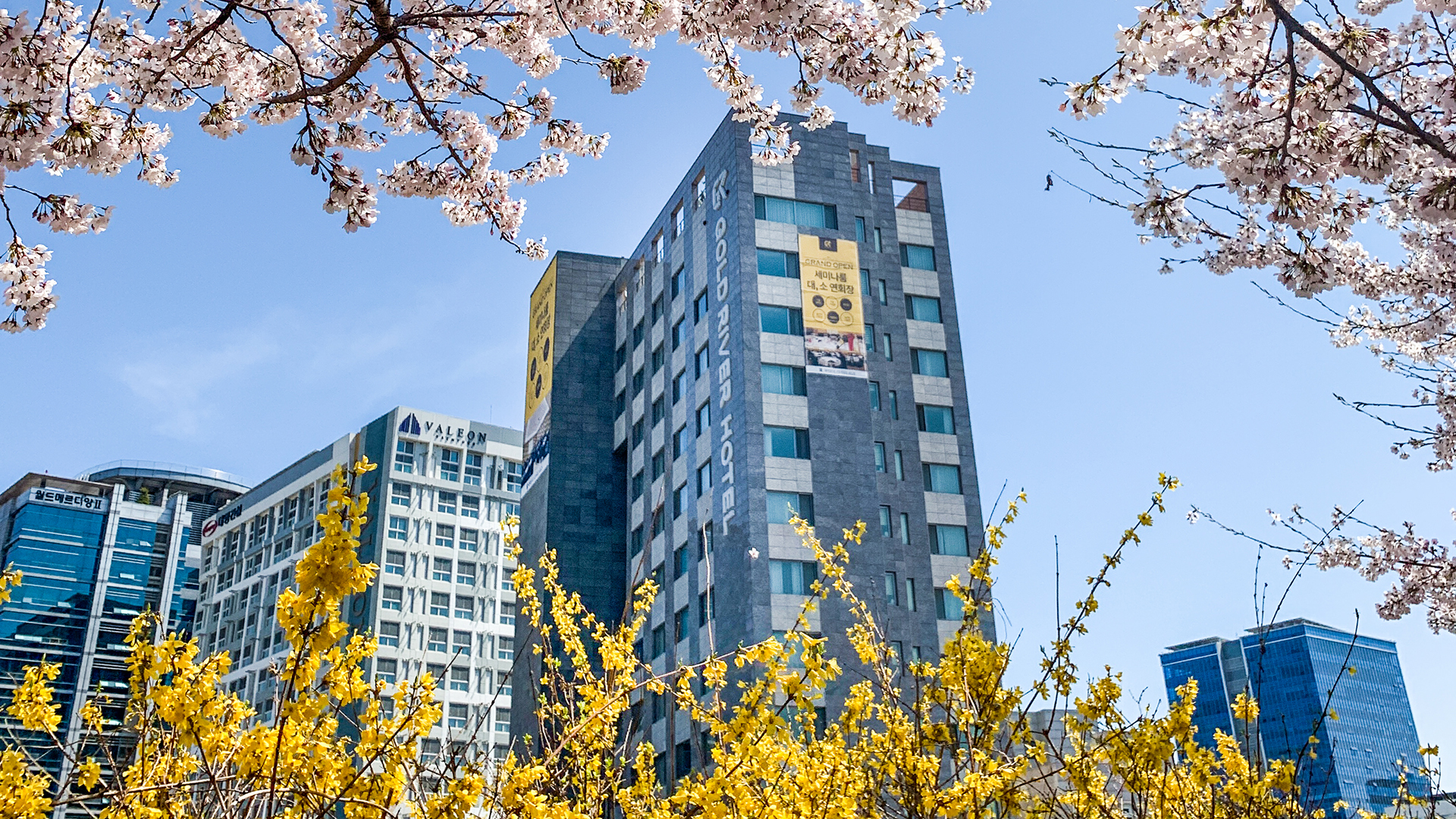 골드리버 호텔 / 