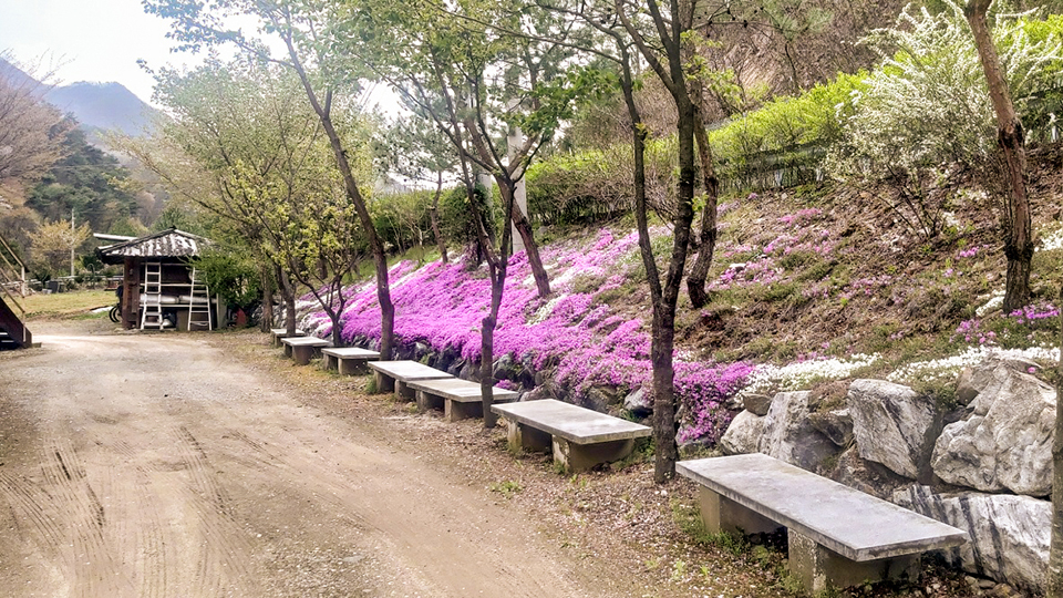 충주 월악산꽃피는산골 펜션 / 