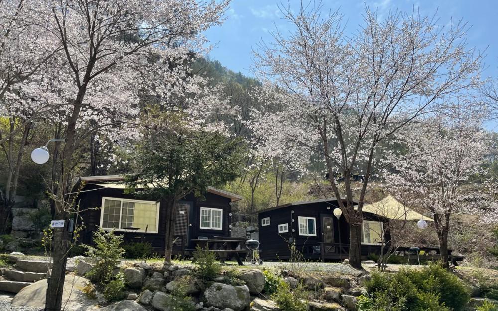 포천 비발디하우스 캠핑&펜션 / 