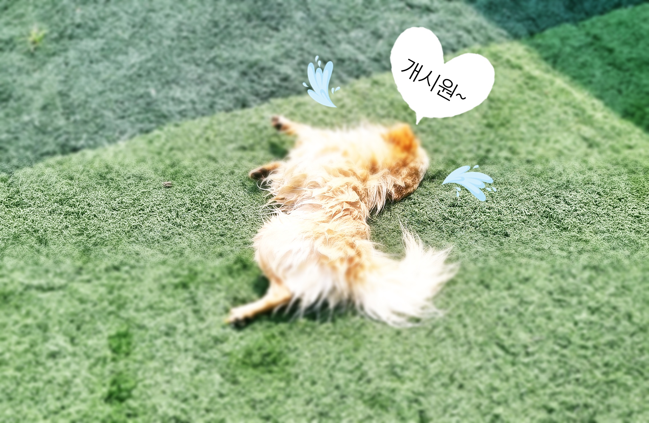 논산 1박2일 펜션 / 