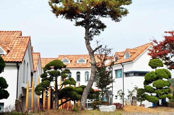 파주 더화이트버치펜션 / 