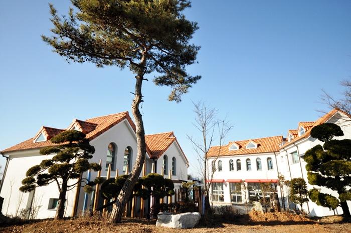 파주 더화이트버치펜션 / 