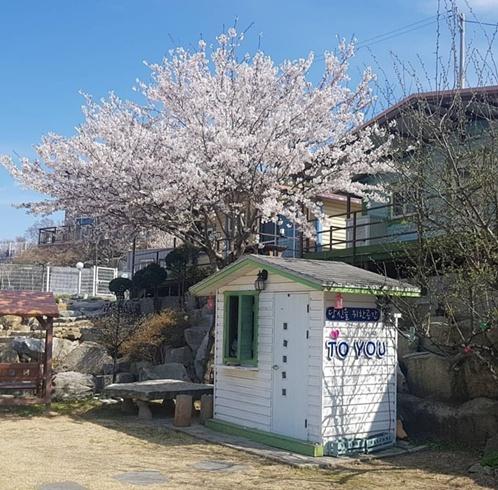강화 석모도 펜션투유 / 