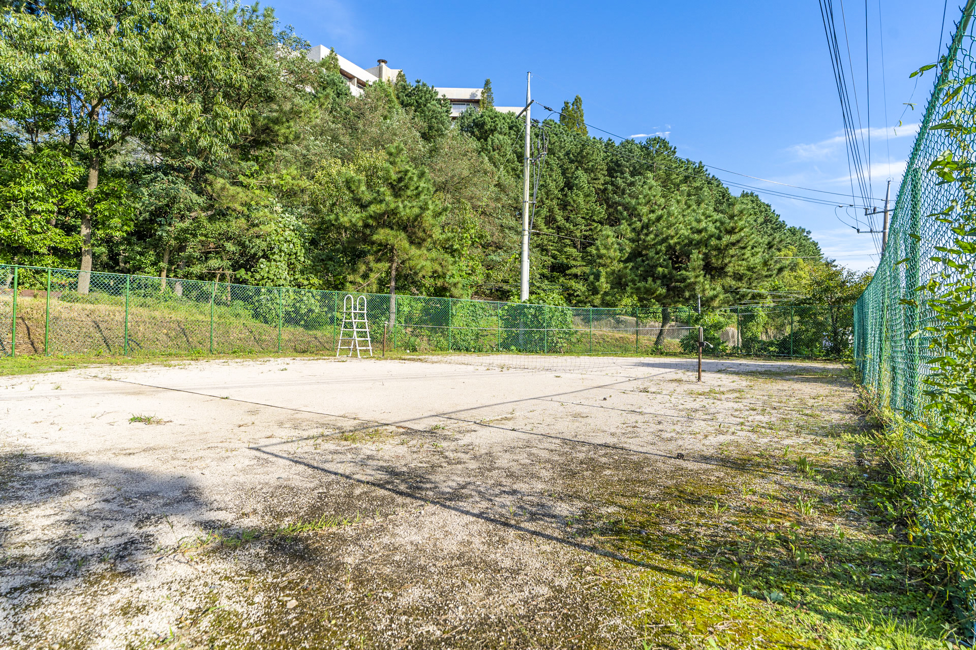 경주 자연숲 펜션 / 