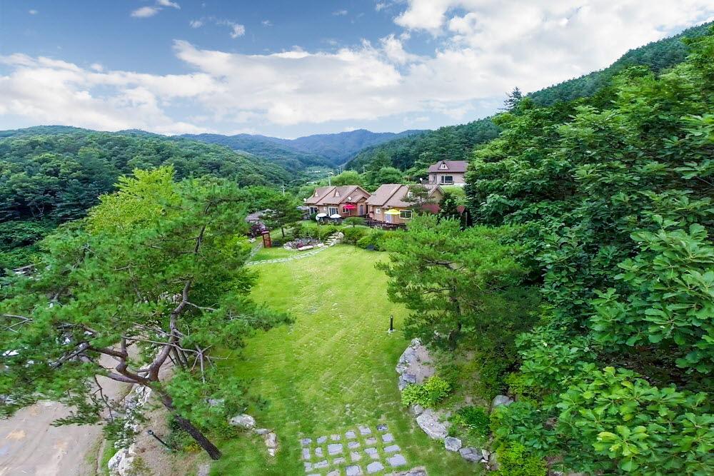 홍천밸리애견동반 / 