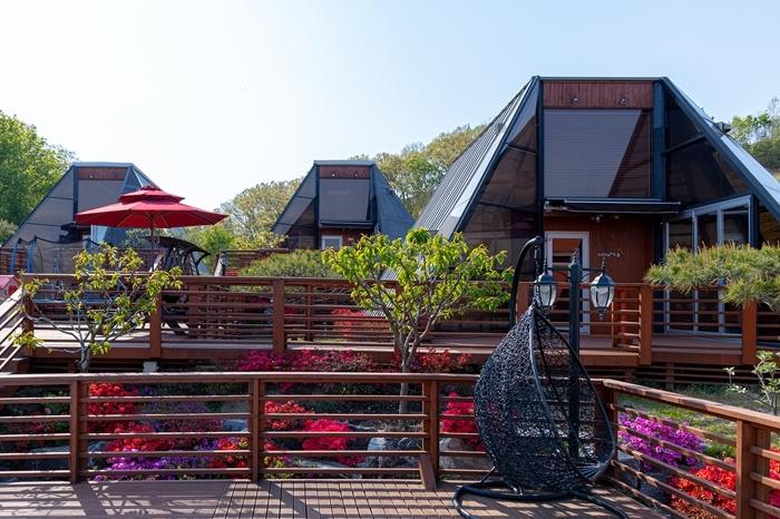 용인 세모난나무 / 