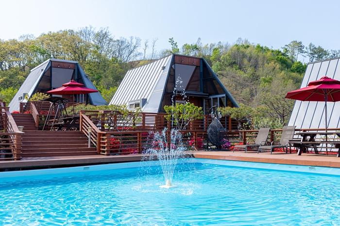 용인 세모난나무 / 
