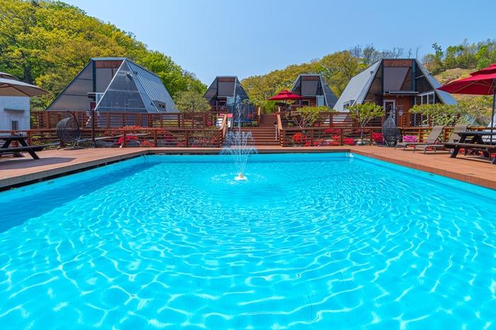 용인 세모난나무 / 