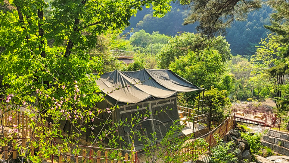 화천 화악산소나무리조트 / 