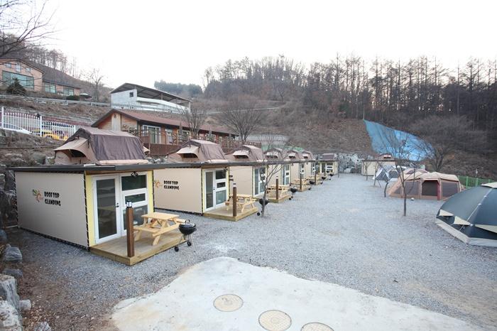 포천 베어스캠프 글램핑&카라반 / 