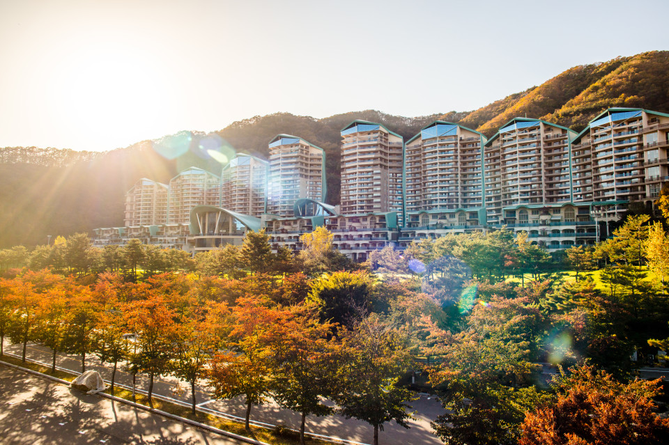 소노펠리체 빌리지 비발디파크 / 