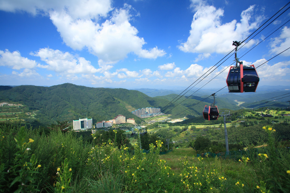 소노벨 비발디파크 D / 