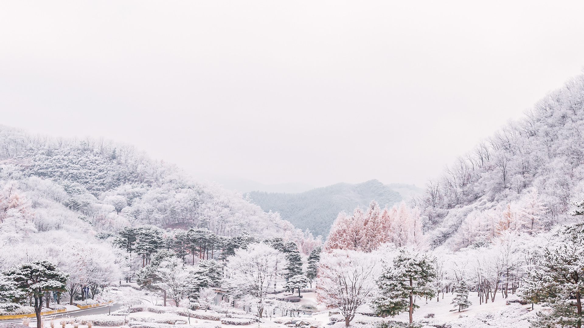 엘리시안강촌 리조트 (종료) / 