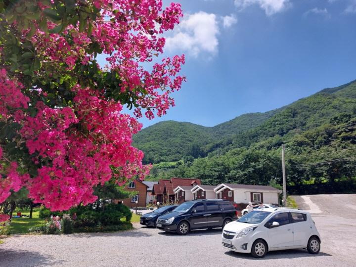 영주 소백산자연누리펜션 / 