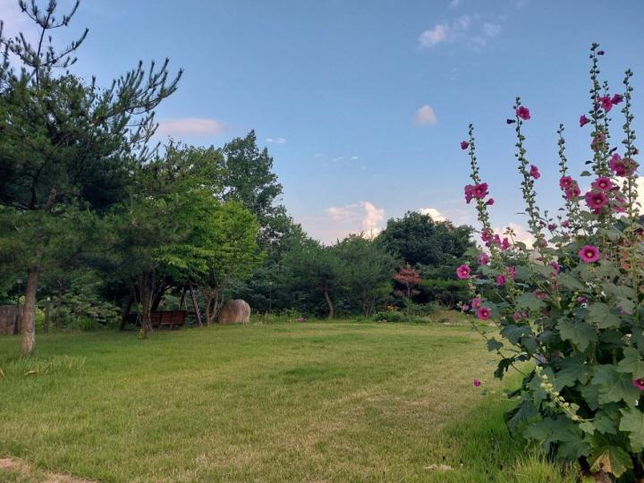 영주 소백산자연누리펜션 / 