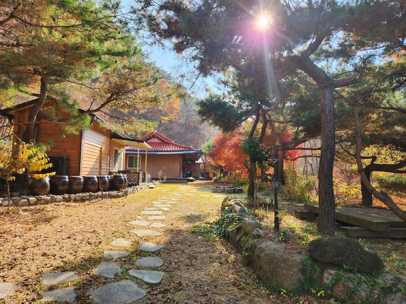 보성 이안애 펜션, 순천·광양·구례·담양, 전라 - 여기어때 특가