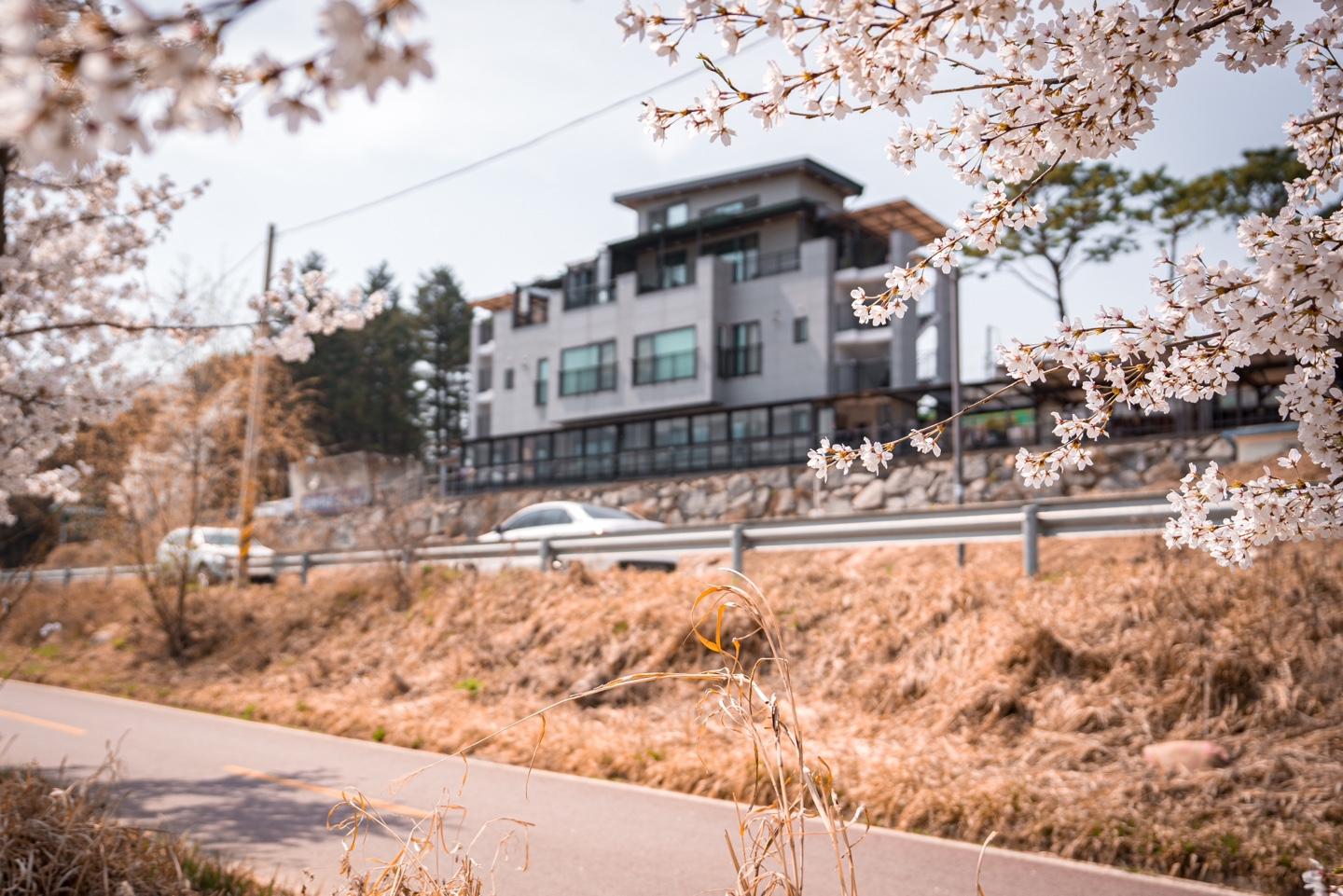 대성리리버하우스펜션 / 