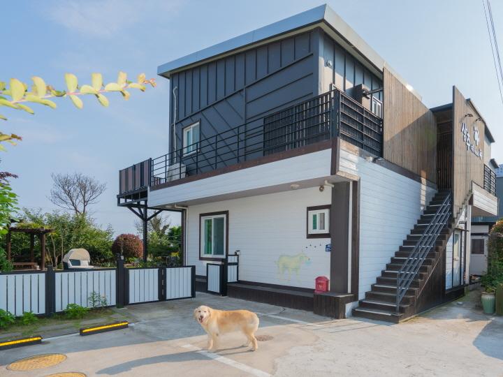 서귀포 애견동반 상추네 / 