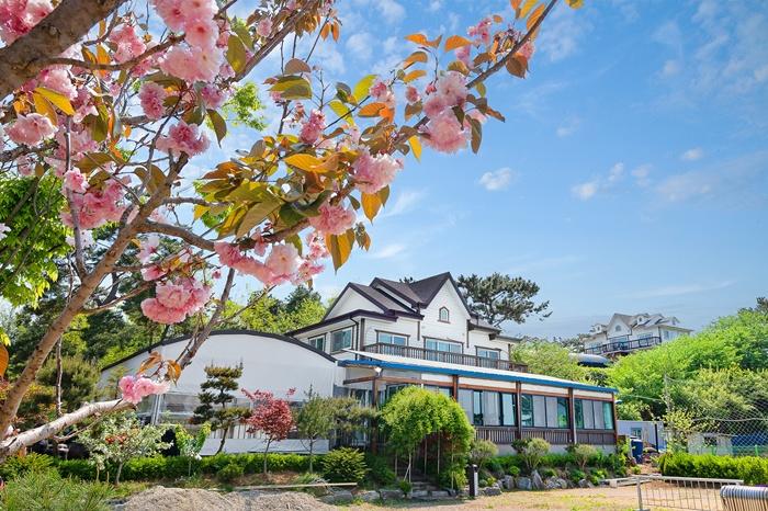 안산 미르펜션 / 
