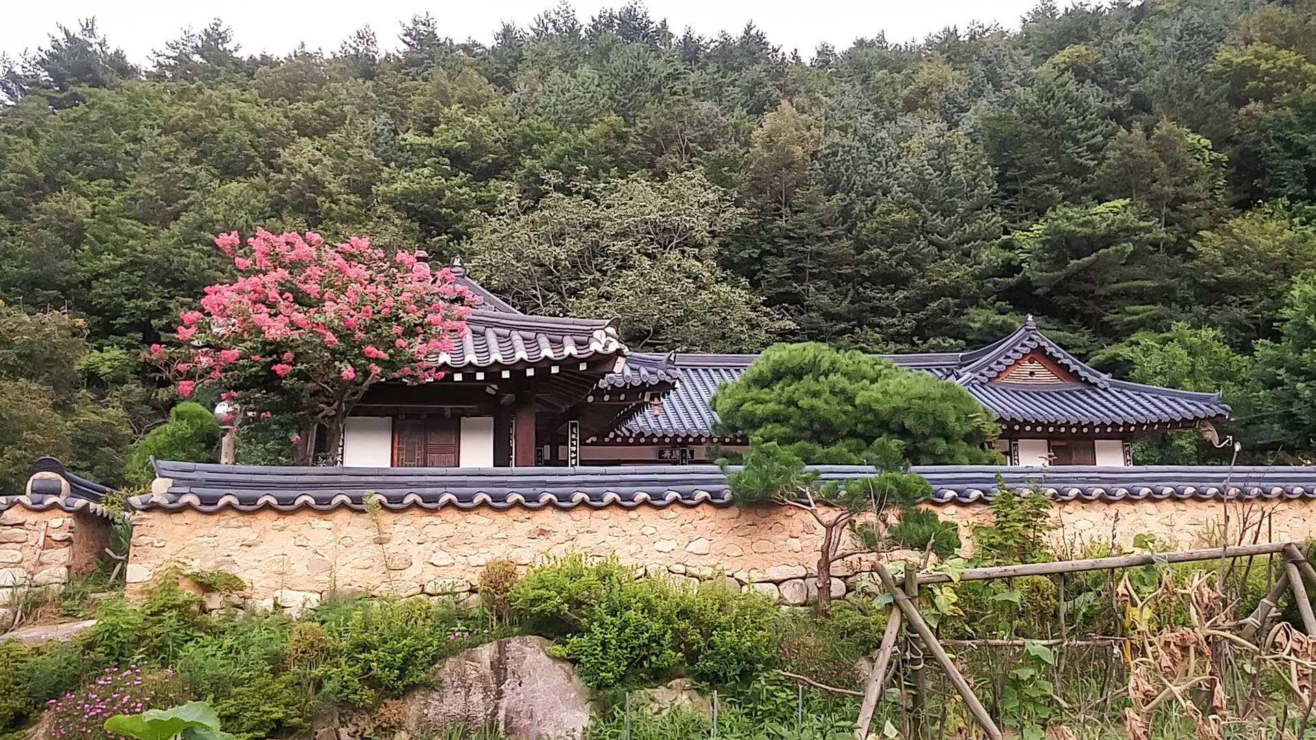 강릉 왕산골한옥민박 / 