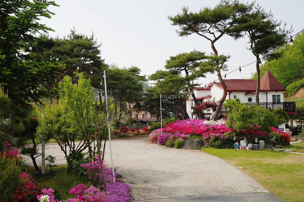 양평 인앤인 펜션 설명절 / 