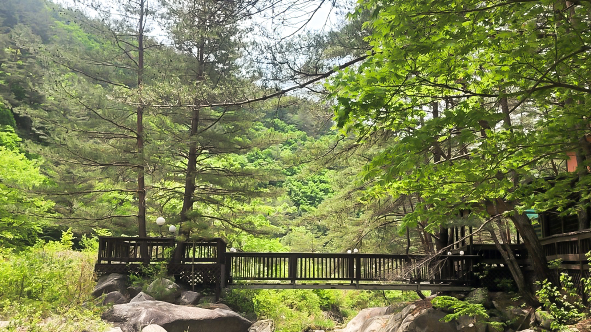 봉화 숲속 펜션 /